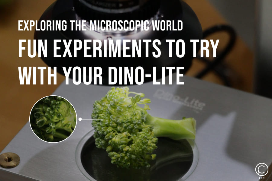 Exploring the Microscopic World (1)