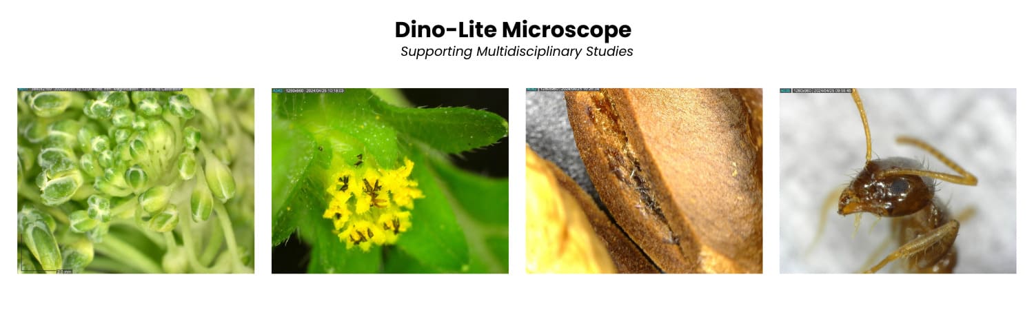 Dino-Lite Supports Multidisciplinary Studies