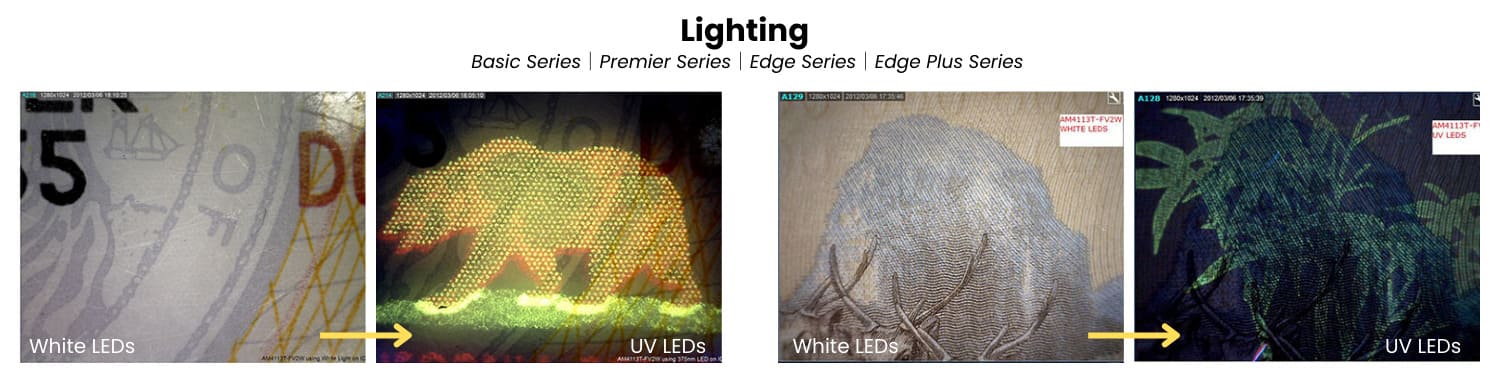 Dino-Lite lighting options