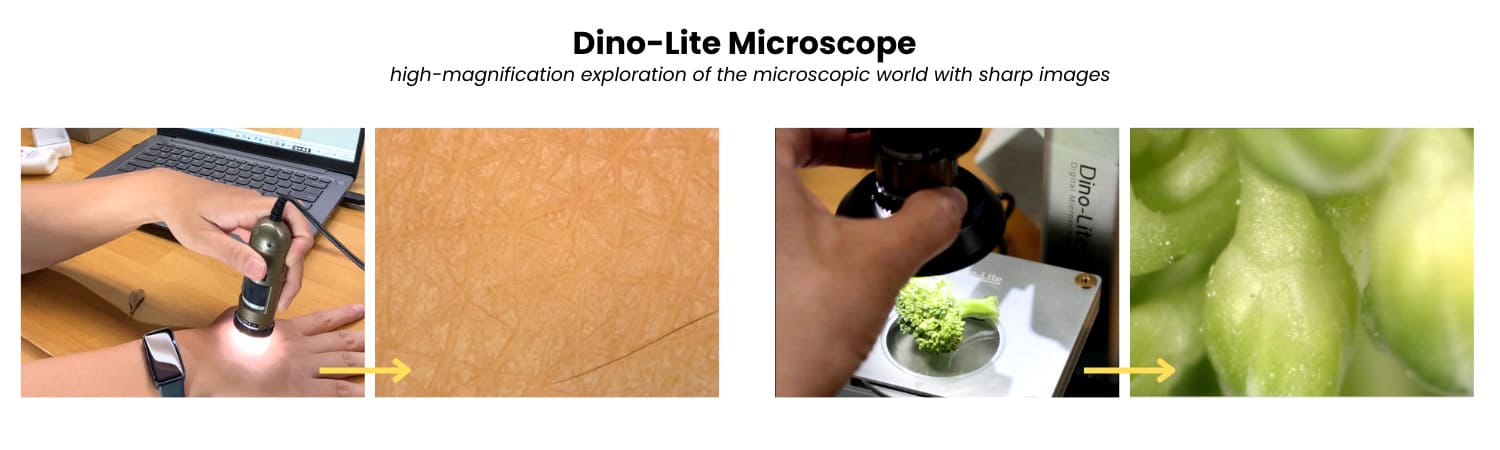 High-magnification exploration with Dino-Lite